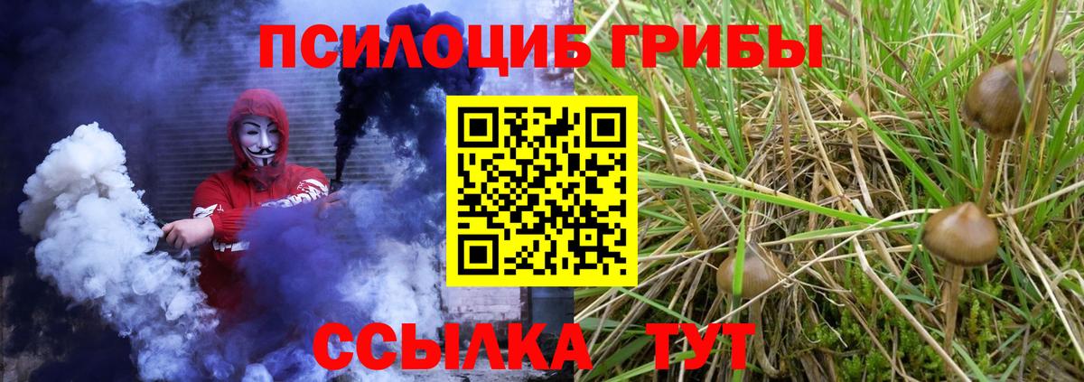 Галлюциногенные грибы Cubensis  Вход с VPN  Тайшет 