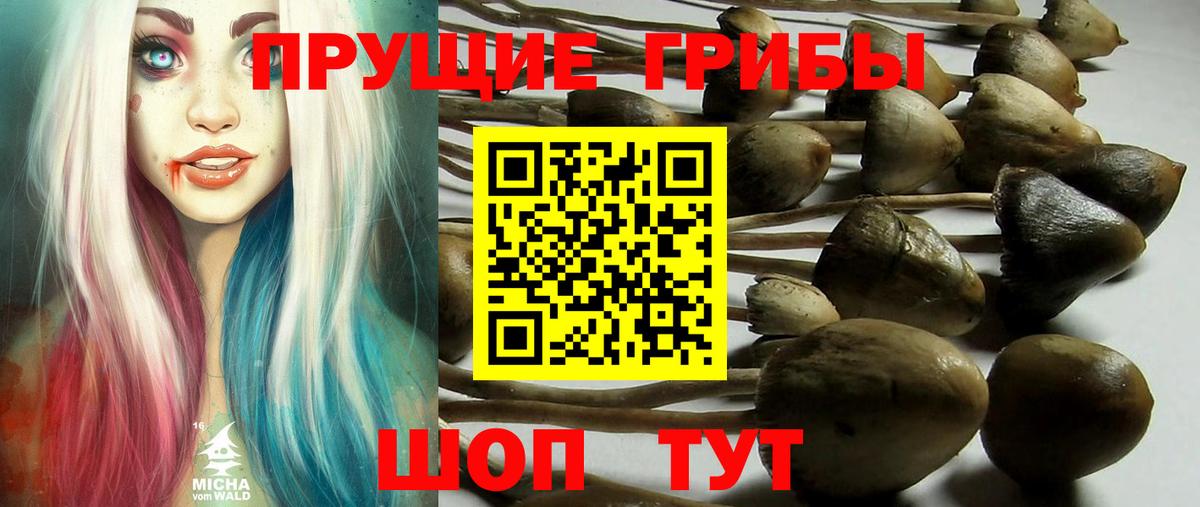 Псилоцибиновые грибы мухоморы Тайшет